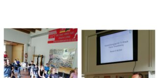 Handballabteilung: Stillstand ist Rückgang