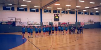 Handball: 2. Damen sind Kreismeister !!!
