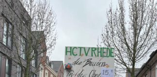 Handballer im Karnevalszug